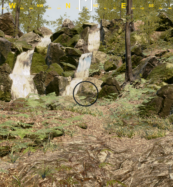 View of the simulation playback in the Virtual Forest application.